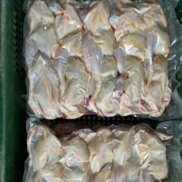 鹧鸪肉