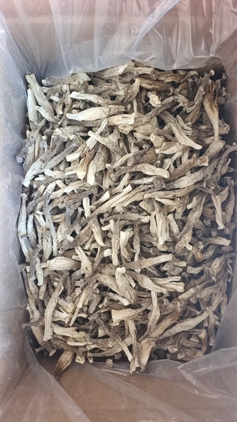 厂家货源新货切根鹿茸菇鹿茸菌各种规格电商货产地直发