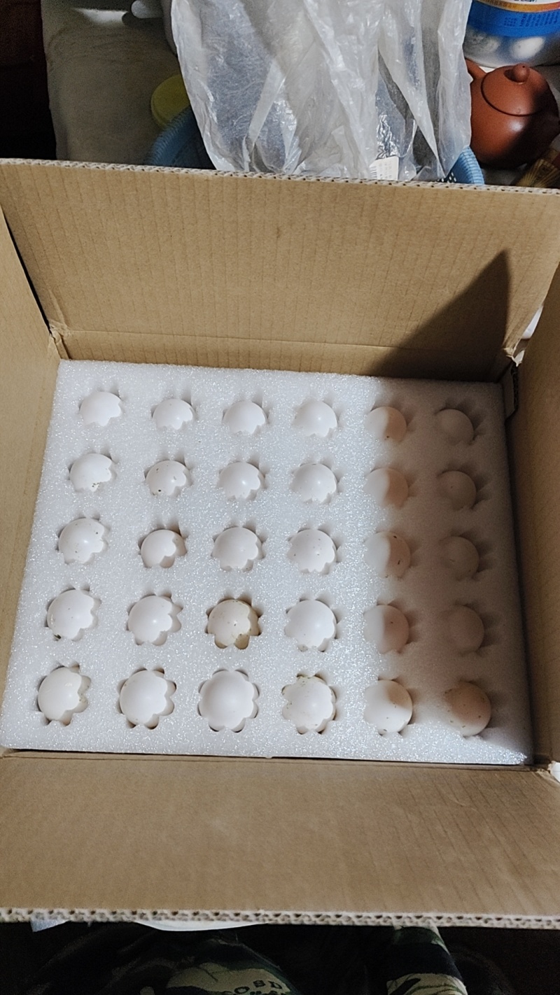 这么漂亮的鸽子蛋，确定不看一下，大小均匀