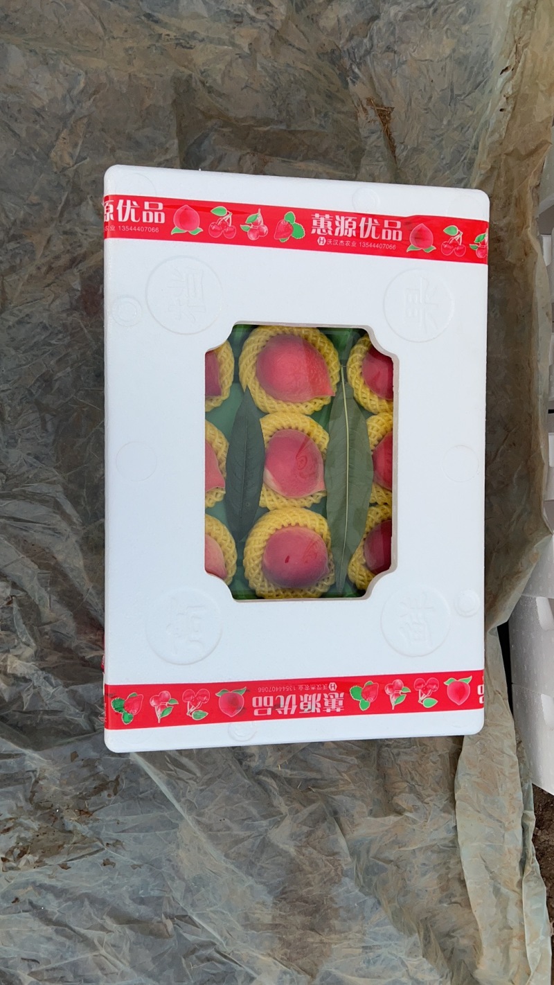 河北唐山乐亭春雪水蜜桃承接市场，电商，茶饮，工厂各大商超