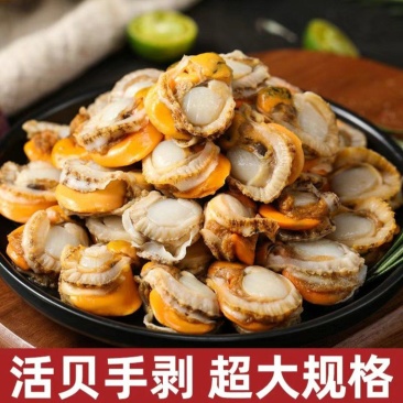 无沙扇贝肉，厂家直供支持一件代发需要的老板dd