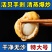 无沙扇贝肉，厂家直供支持一件代发需要的老板dd