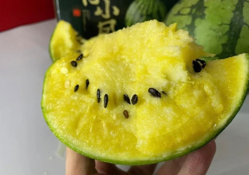 江苏特小凤西瓜黄瓤西瓜脆甜多汁产地一手货源欢迎联