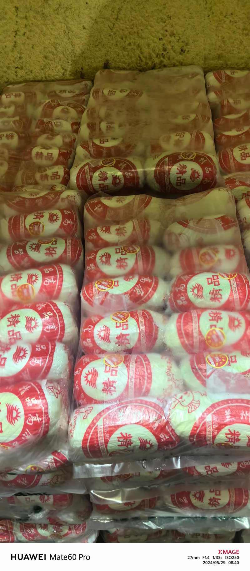 精品大娃娃菜通许冷库加工直发货源稳定代收代发全国