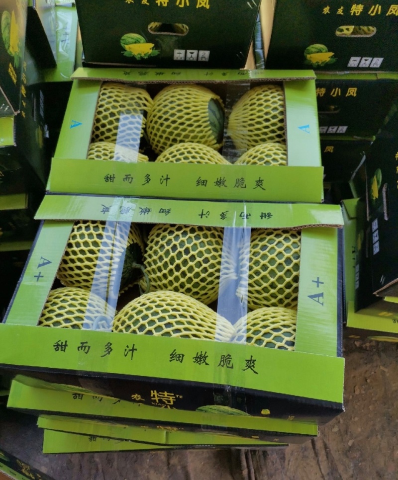 实力江苏特小凤西瓜黄心西瓜皮薄肉厚产地直供全国发货