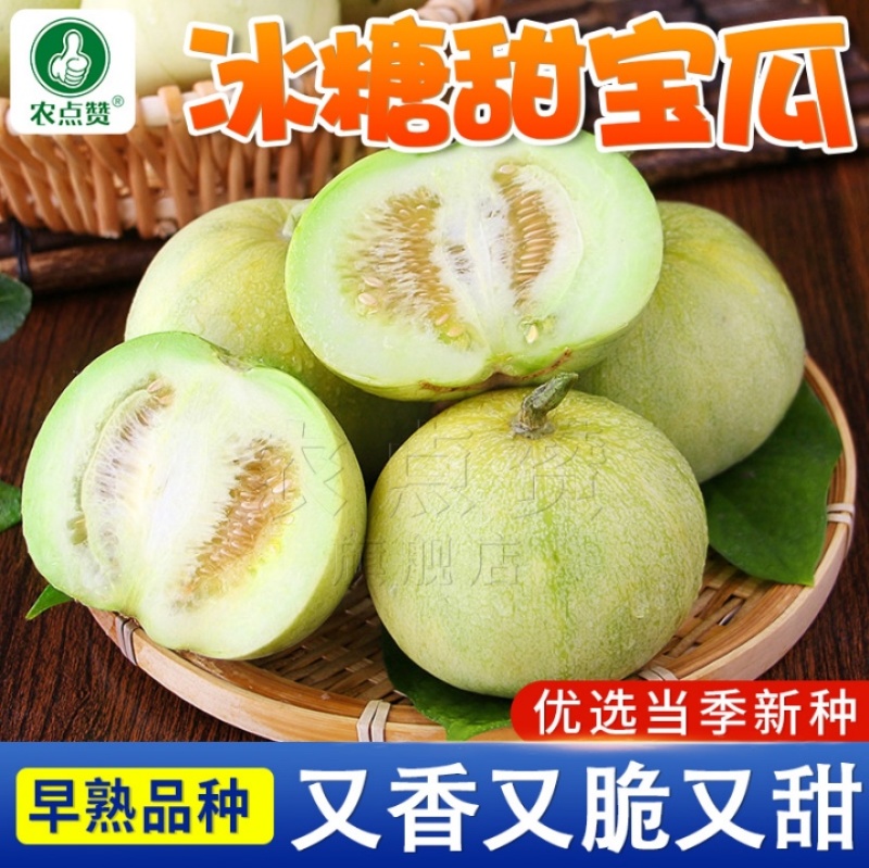 甜宝一号-冰糖甜瓜种子早熟耐旱丰产香脆可口