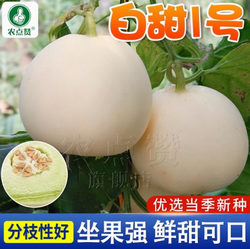 白甜1号-白甜瓜种子白皮早熟抗病香味浓郁肉质细腻