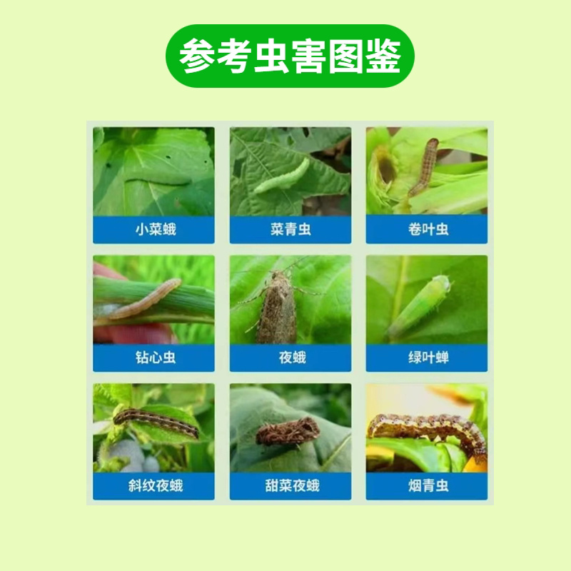 10%甲维茚虫威菜青虫玉米螟甜菜夜蛾钻心虫