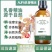 乳香精油100ml正品植物萃取细腻肌肤芳香柔嫩肌肤提亮肤