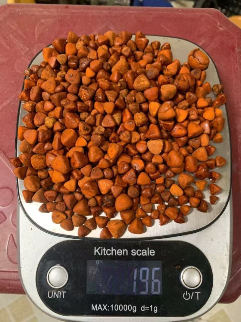 天然牛黄