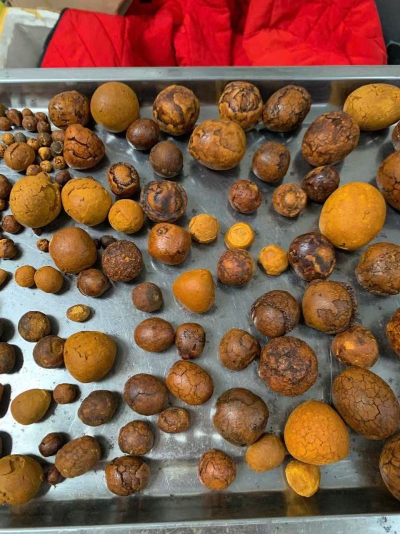 天然牛黄
