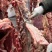 牛肉牛吊龙新鲜吊龙雪花牛肉全国可飞清真屠宰厂直供
