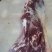 牛肉牛腿肉每天鲜货精修去油纯干货清真屠宰厂直供