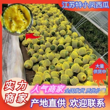 江苏黄心西瓜特小凤西瓜小兰西瓜货源充足代发全国商超