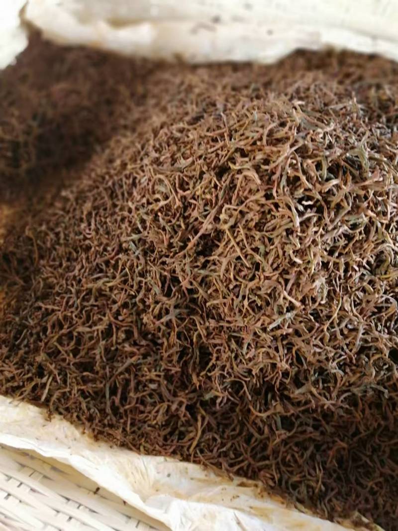 云南古树红茶产地直发口感好价格从优质量保证欢迎选购