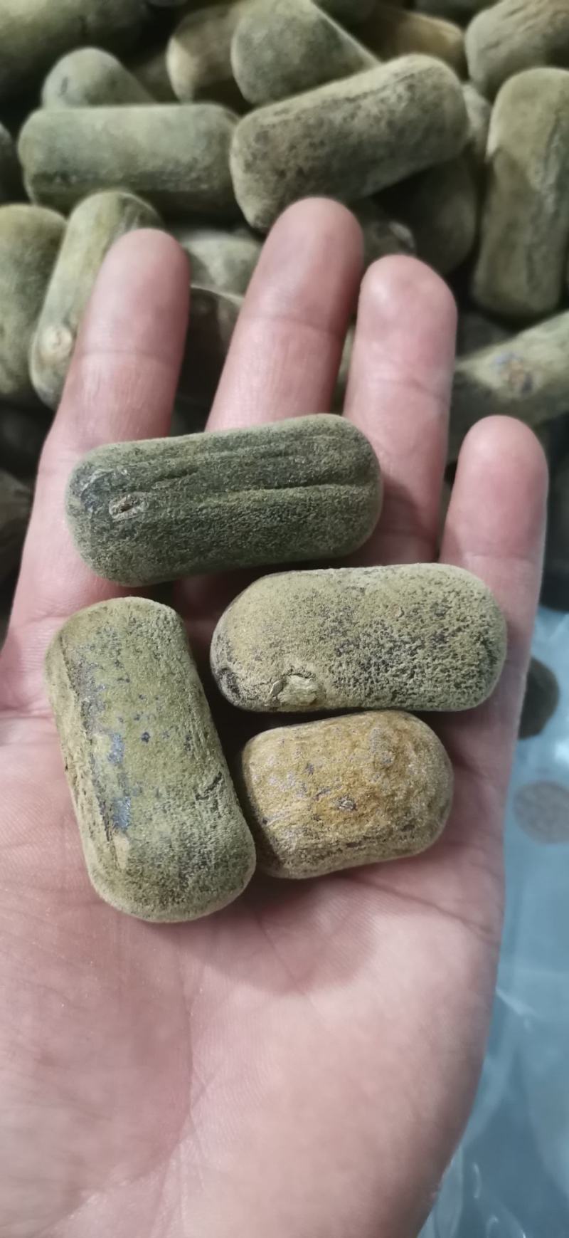 正宗化橘红压果小果条，2.5果条，产地批发零售