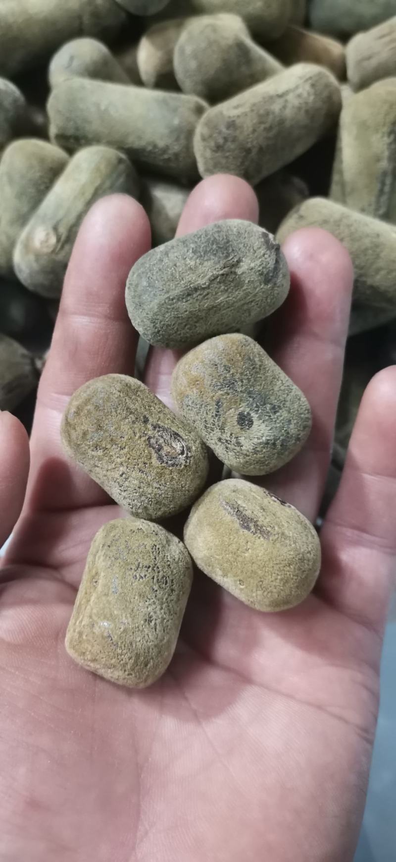 正宗化橘红压果小果条，2.5果条，产地批发零售