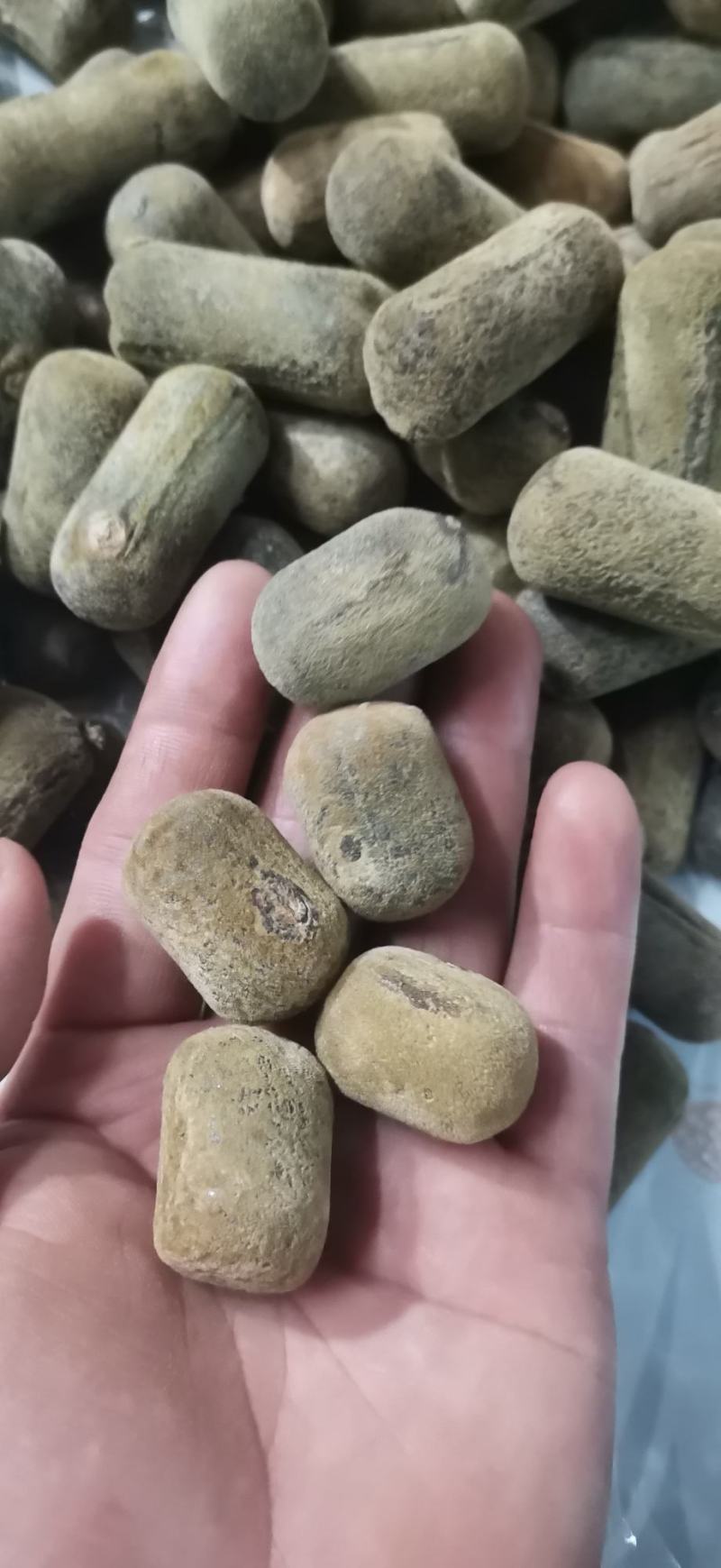 正宗化橘红压果小果条，2.5果条，产地批发零售