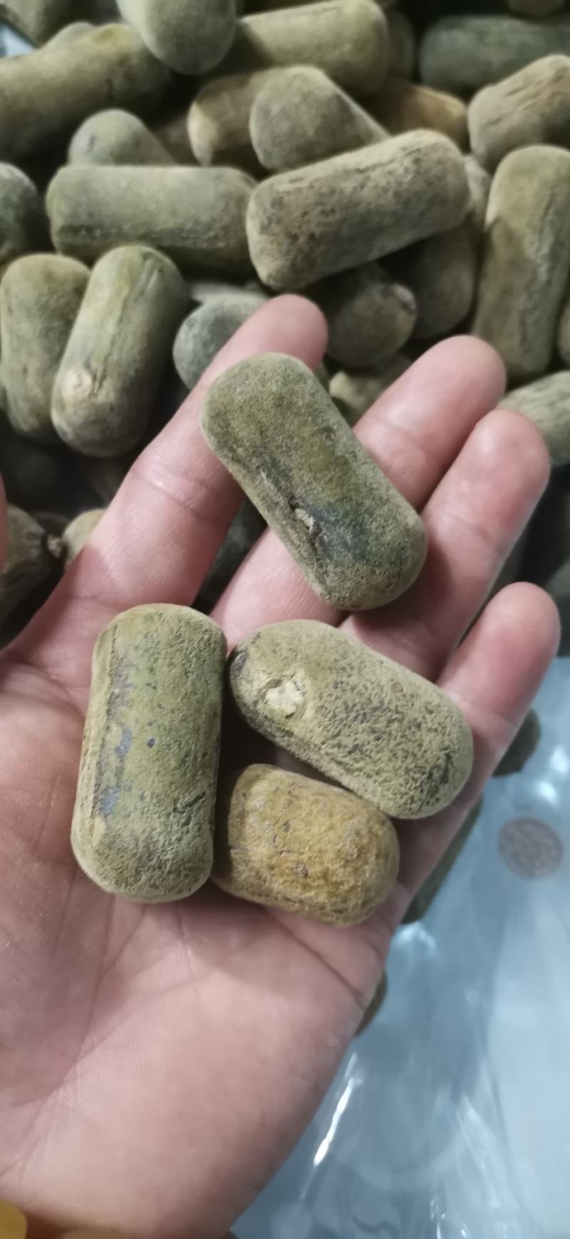 正宗化橘红压果小果条，2.5果条，产地批发零售
