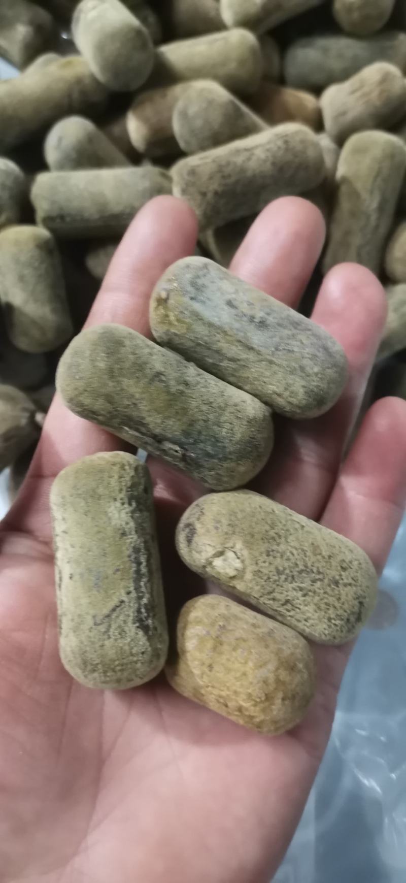 正宗化橘红压果小果条，2.5果条，产地批发零售