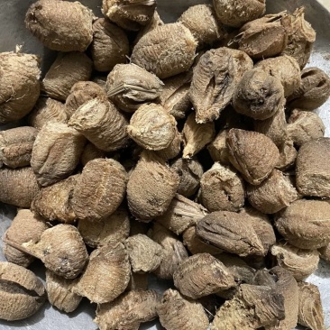 正品桑螵蛸精选包邮