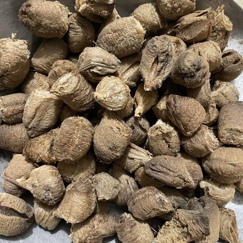 正品桑螵蛸精选包邮