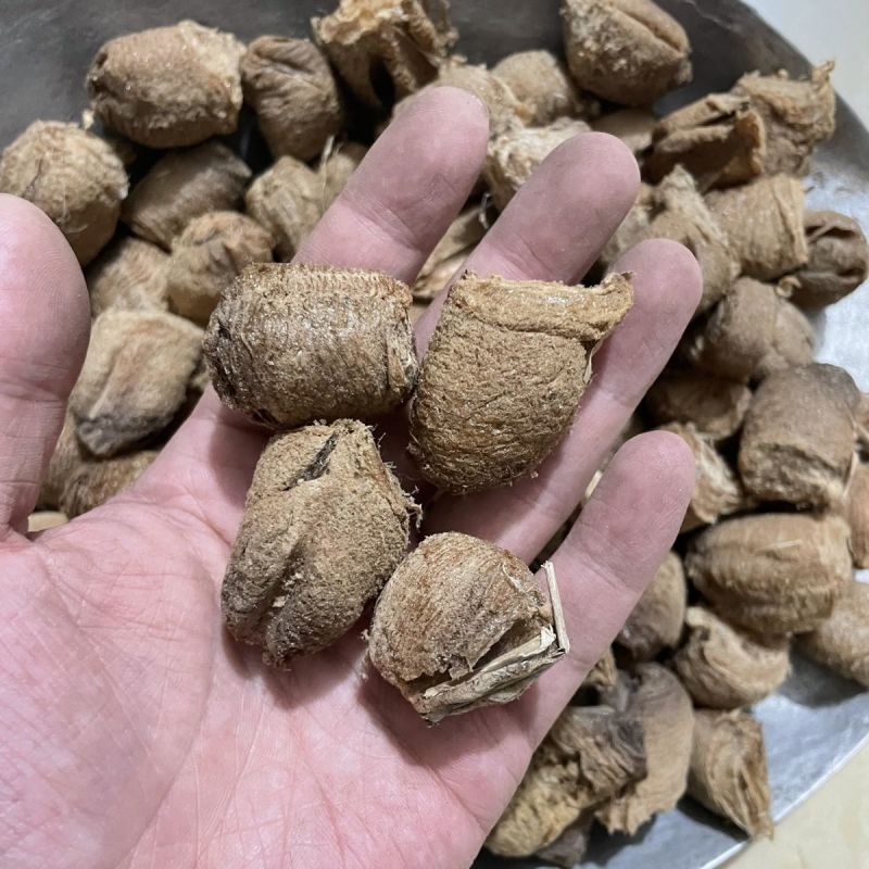 正品桑螵蛸精选包邮