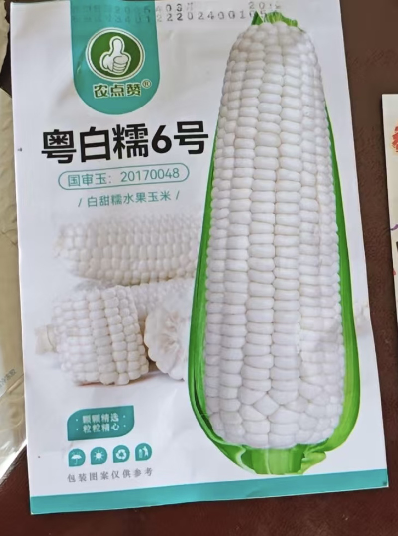 粤白糯6号-鲜食白糯玉米种子大棒高产非转基因