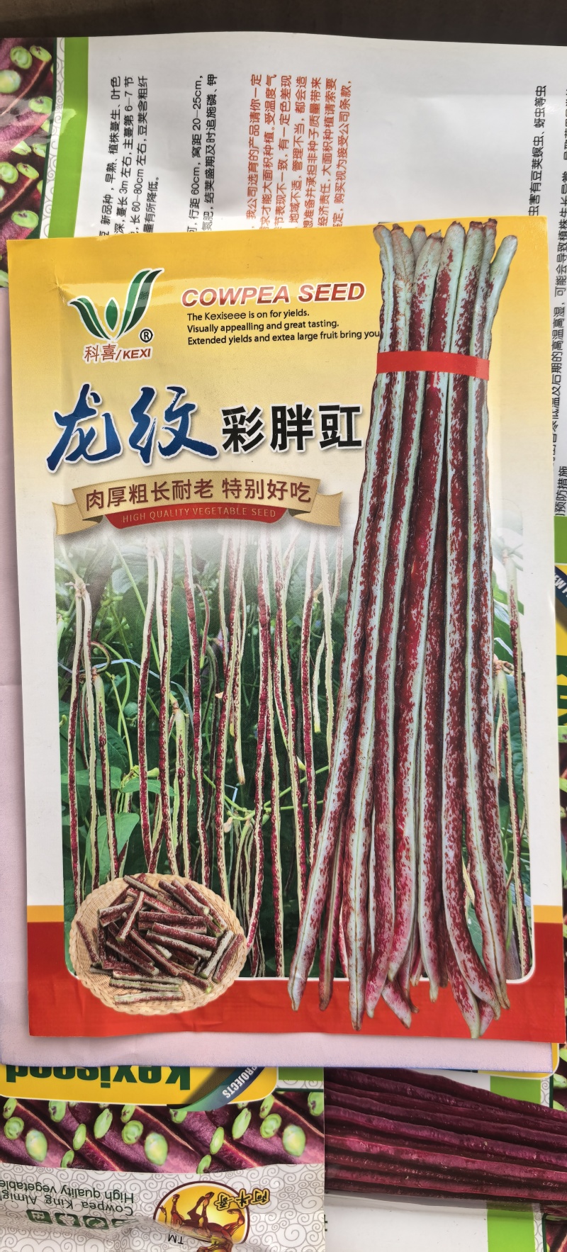豇豆种子龙纹彩胖豇肉厚粗长耐老化特别好吃春夏秋可种
