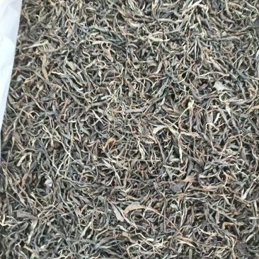 云南普洱茶产地一手货源价格美丽品质保证欢迎选购