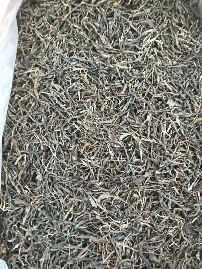 云南普洱茶产地一手货源价格美丽品质保证欢迎选购