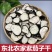 东北特产茄子干无任何添加农户自然晾晒脱水蔬菜500g包邮