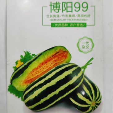 博阳甜瓜种子-杂交品种薄皮丰产抗逆性好抗病产量