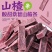 蓝莓味桑葚山楂条***助消化开胃健裨网红解馋