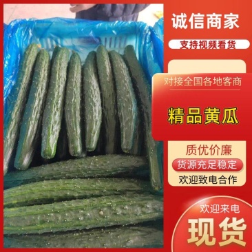 黑油亮黄瓜精品夏邑黄瓜，保质保量实力代办产地直发