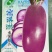 冰淇淋水果萝卜种子-花青素含量高生食脆甜多汁不易糠心