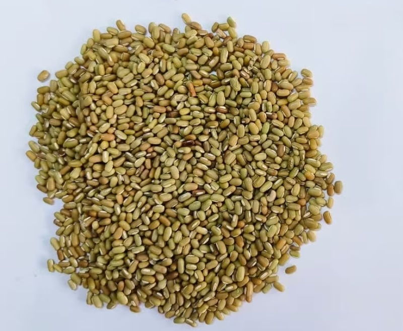 竹豆绿竹豆进口2025年产