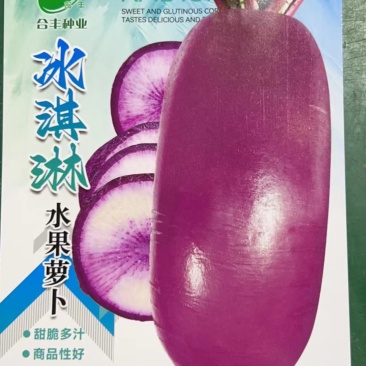 冰淇淋水果萝卜种子-花青素含量高生食脆甜多汁不易糠心