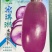 冰淇淋水果萝卜种子-花青素含量高生食脆甜多汁不易糠心