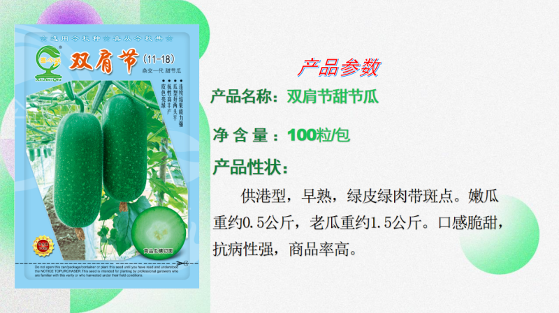 【双肩节甜节瓜】短筒型绿皮绿肉早熟抗病性好商品率高