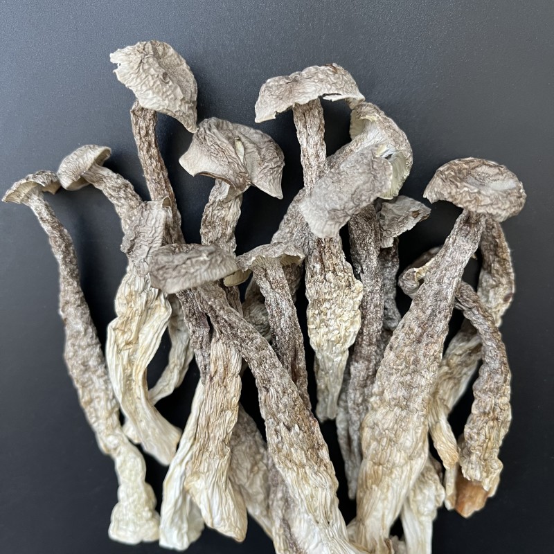 鹿茸菇干货特级无硫新鲜自然晾晒脱水火锅炒菜均可味道鲜美