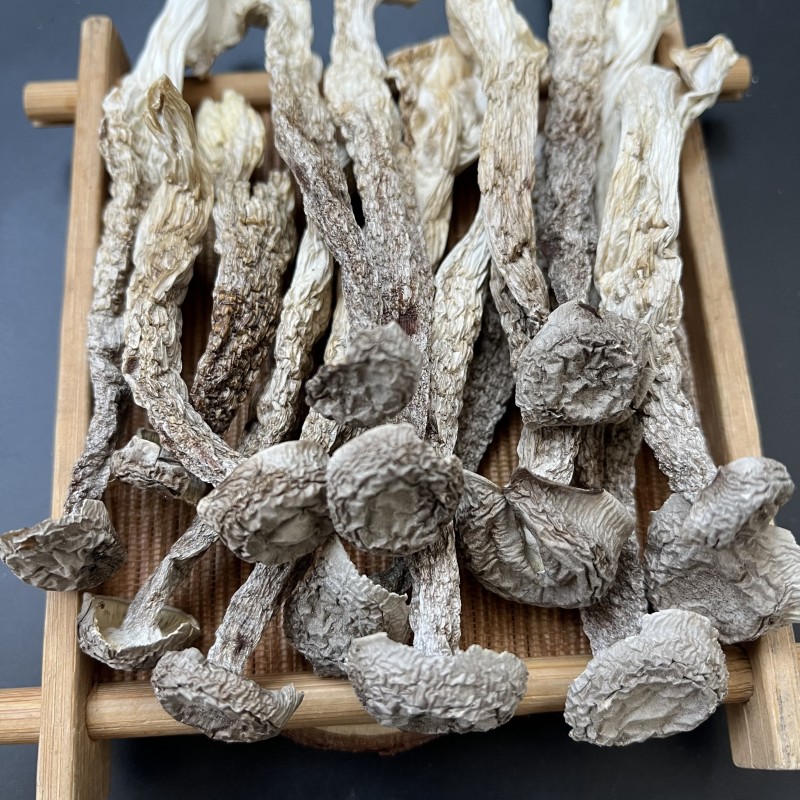 鹿茸菇干货特级无硫新鲜自然晾晒脱水火锅炒菜均可味道鲜美
