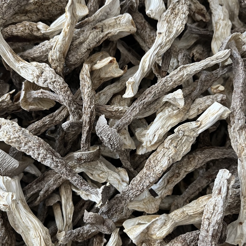 鹿茸菇干货特级无硫新鲜自然晾晒脱水火锅炒菜均可味道鲜美