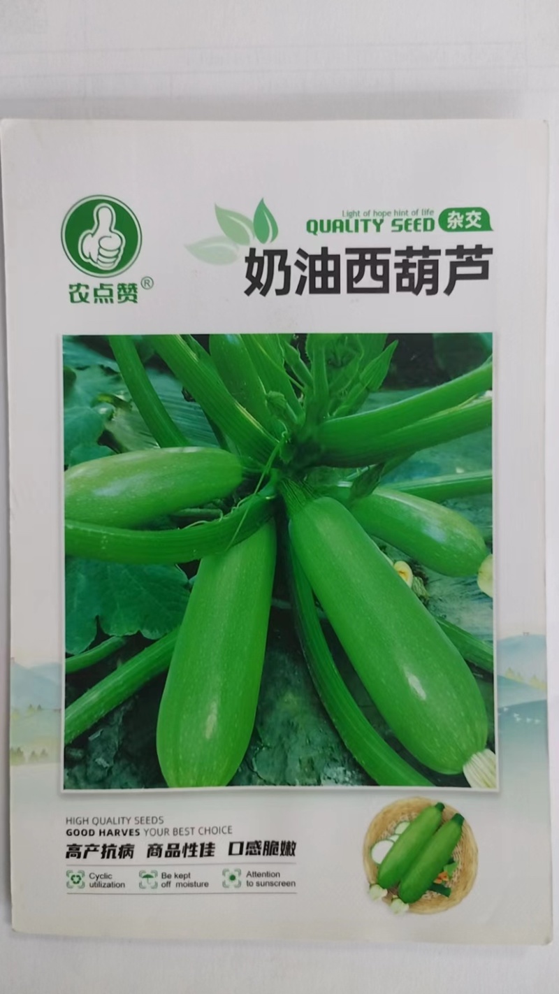 奶油西葫芦种子-丰产抗病连续结果力强口感脆嫩