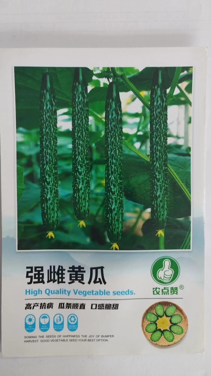强雌黄瓜-密刺黄瓜种子清脆爽口瓜条顺直热量低