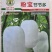 冬瓜种子粉宝节节多中大果型白皮冬瓜肉厚粉白挂果多