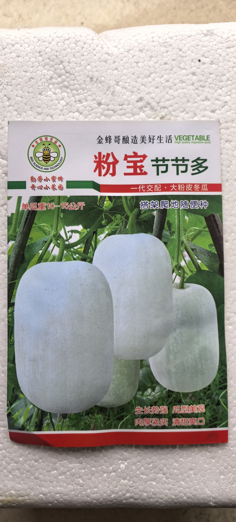 冬瓜种子粉宝节节多中大果型白皮冬瓜肉厚粉白挂果多