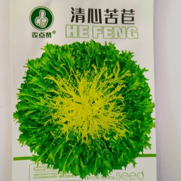 清心苦菊种子-品质好略有苦味口感脆嫩爽口可炒食凉拌