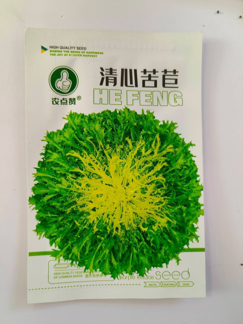 清心苦菊种子-品质好略有苦味口感脆嫩爽口可炒食凉拌