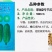 【翠丽2号】杂交一代早熟水果甜节瓜长圆筒型绿肉